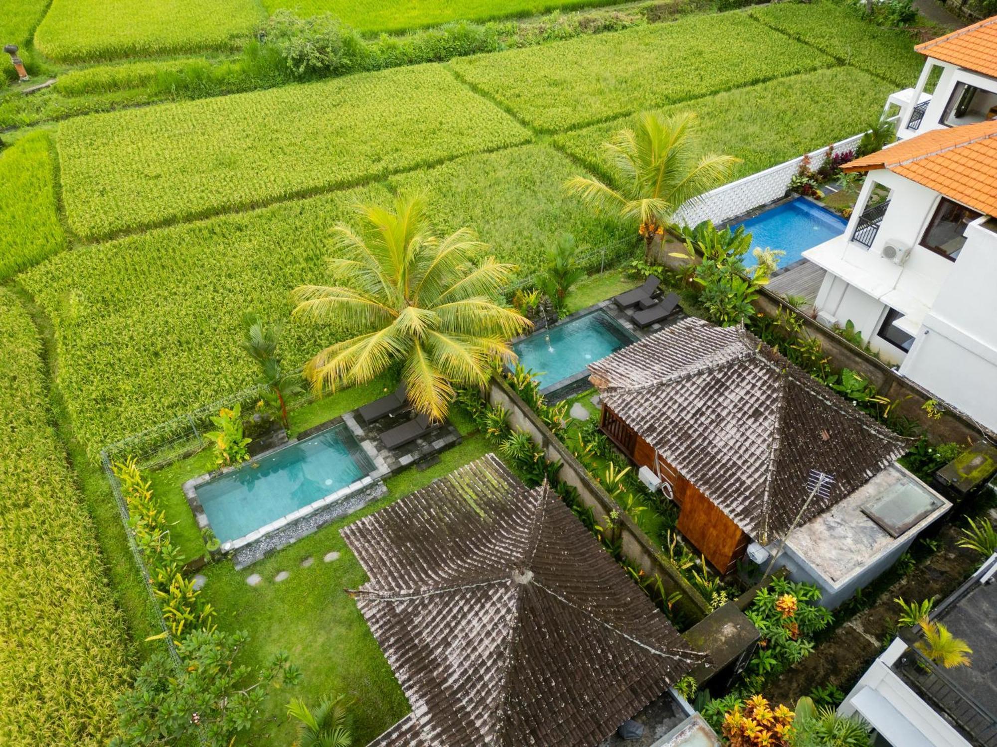Mardika Private Villa Убуд Екстериор снимка